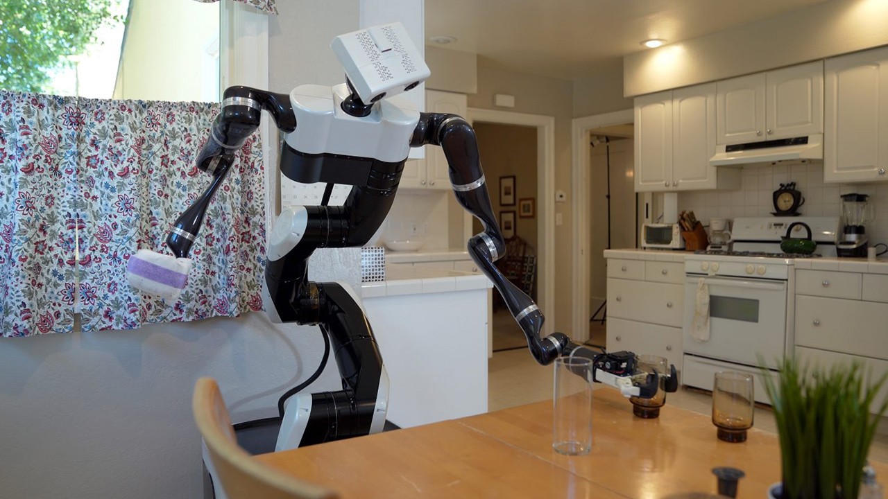 Robot performing domestic task