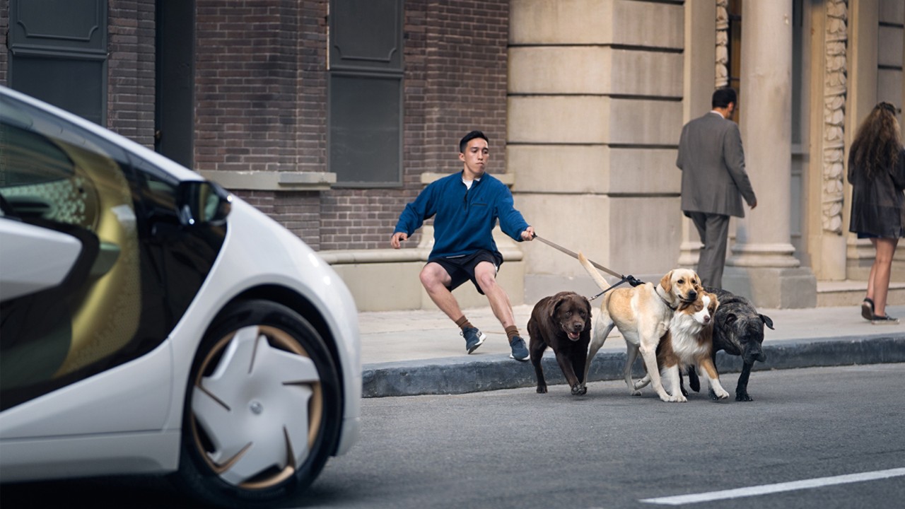 Avoiding accident with dogs crossing the street