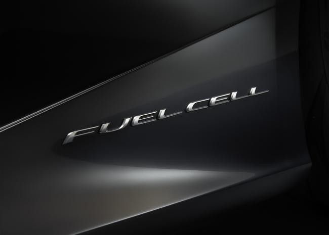 fuel cell