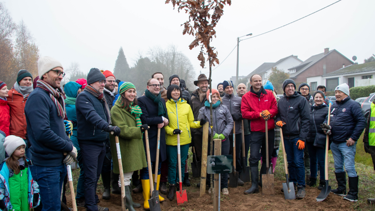 Toyota expands a public forest