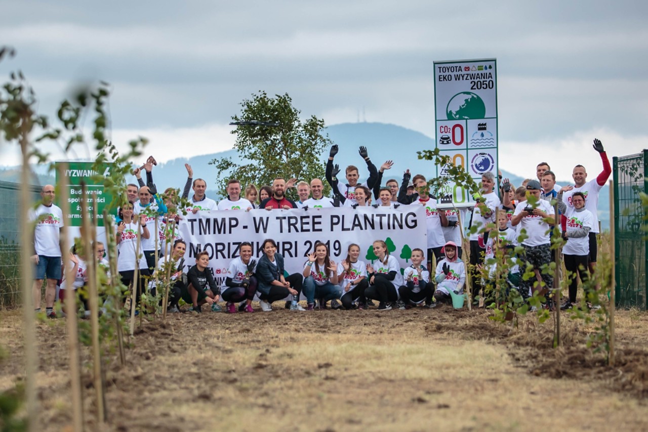 Toyota Motor Manufacturing Poland - Jelcych employees plant trees