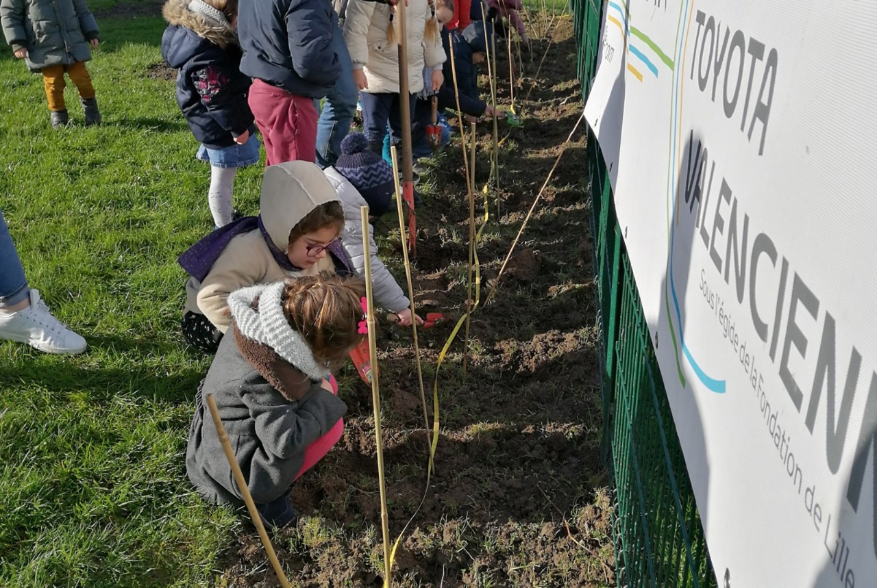Toyota Foundation Valenciennes planting trees in Valenciennes, France