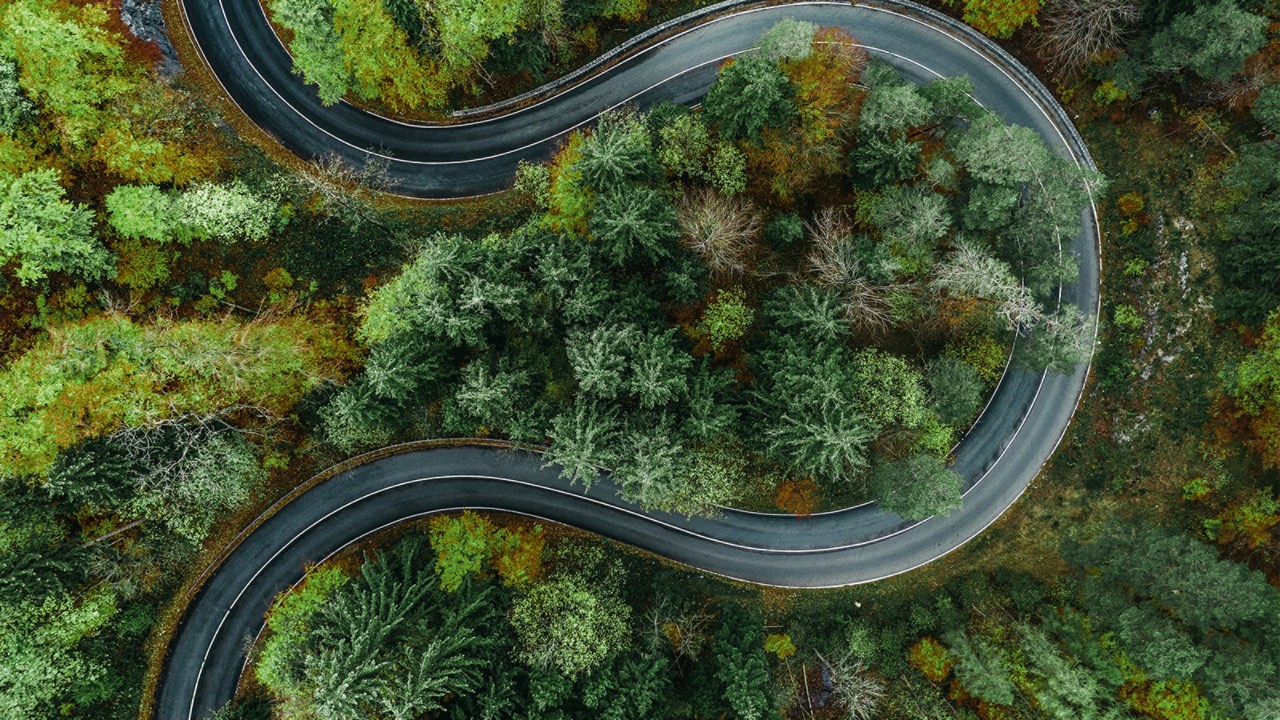 Sinious road  trough green forest