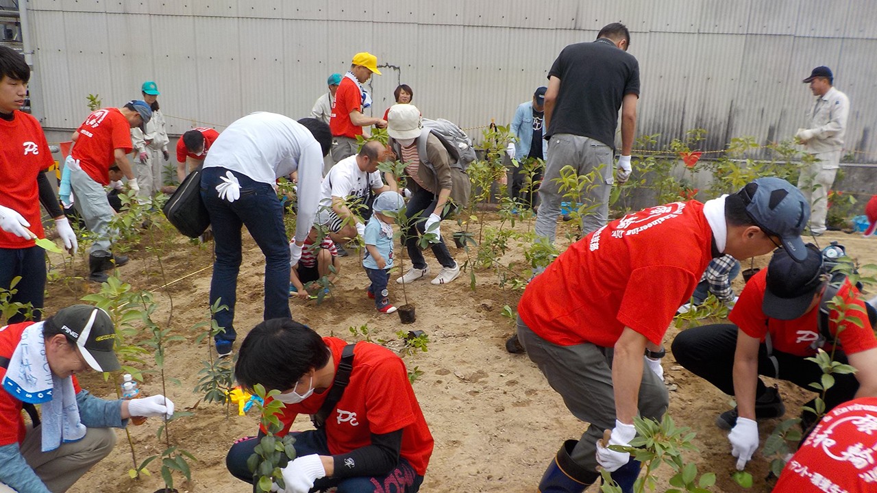 P6-PRIUS-Prius-tree-planting